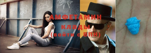 ешки Горняк