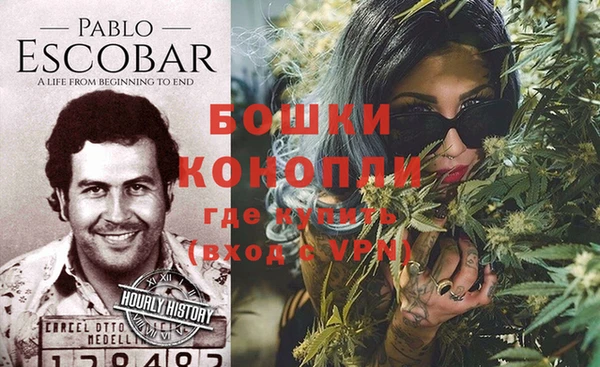 ешки Горняк