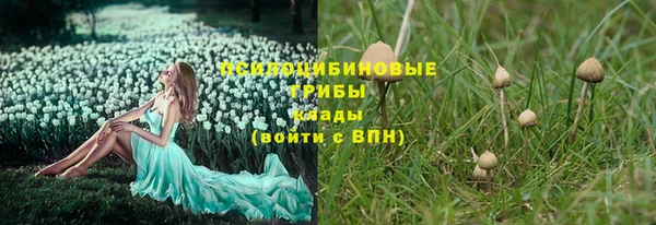 дурь Горнозаводск