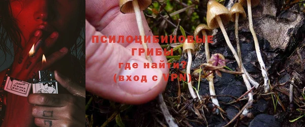 ешки Горняк