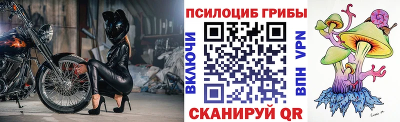 Галлюциногенные грибы мухоморы  где купить   Каспийск 